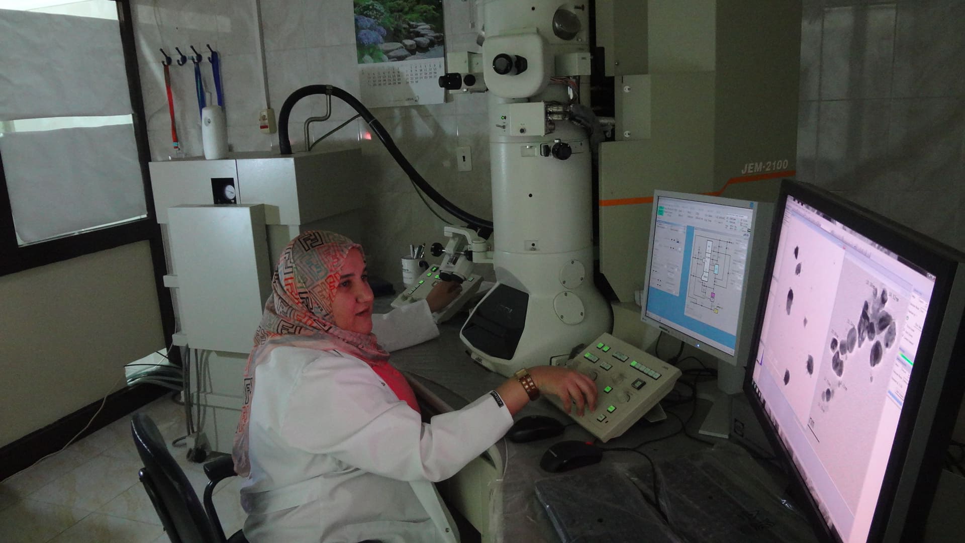 Electron microscope Mansoura homepage slides
